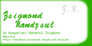 zsigmond mandzsul business card